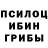 Псилоцибиновые грибы Psilocybine cubensis Zamira Moldobaeva