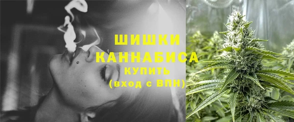 ГАЛЛЮЦИНОГЕННЫЕ ГРИБЫ Семилуки