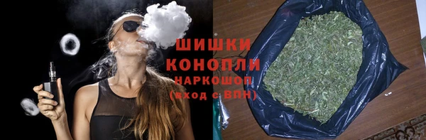 сатива Армянск