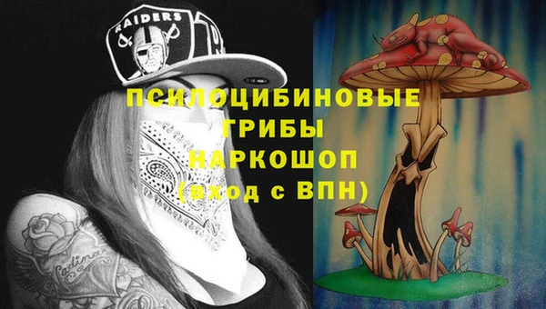 сатива Армянск