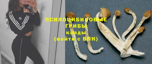 дмт Алексеевка