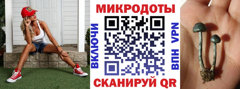 Псилоцибиновые грибы Magic Shrooms  купить наркотики цена  Светлоград 