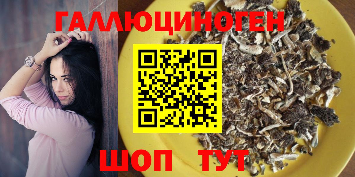 Псилоцибиновые грибы Cubensis  Вход с VPN  Светлоград 